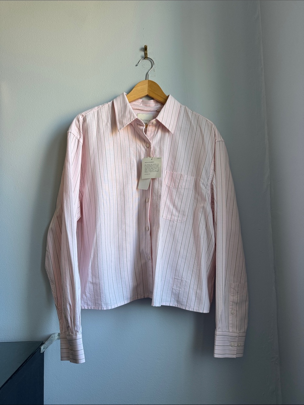 UNIQLO and JW ANDERSON Oxford Boxy Shirt NWT - Picture 3 of 7